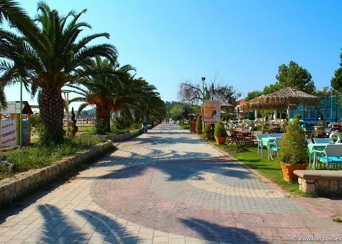 Gala Premium * 尼坡帝